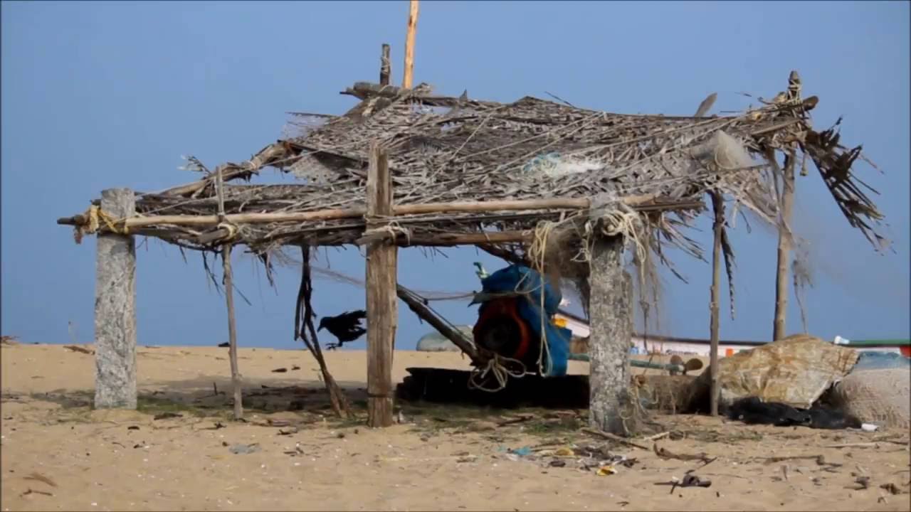 life at pattipulam