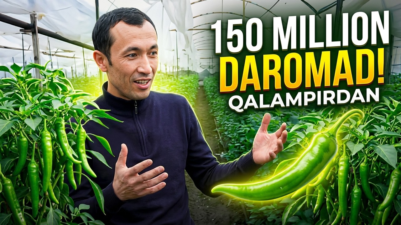 Qoyil! Qalampirdan 150 million daromad