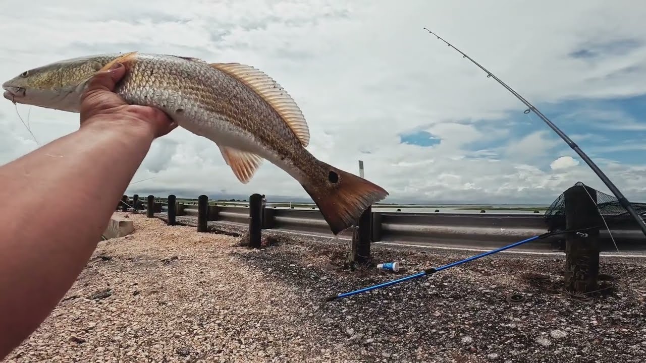 NON STOP ACTION  😁 Fishing Capono Bay For Red and Black Drum