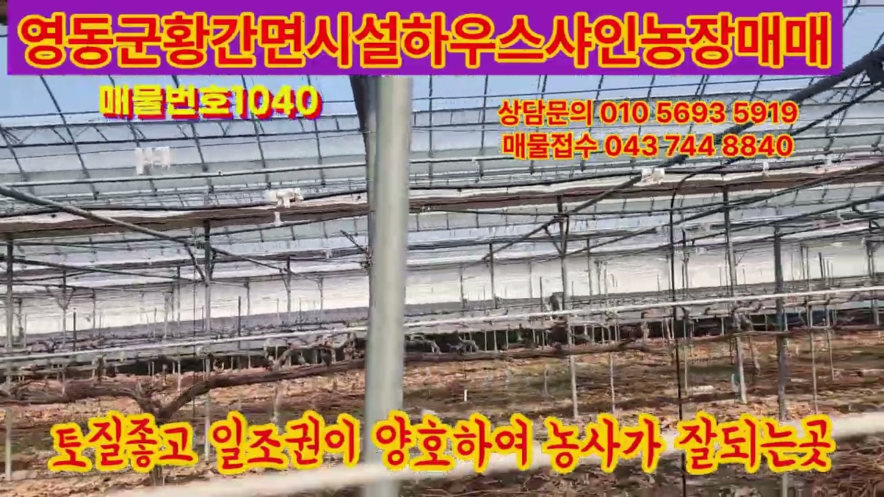 영동군전원주택매매, 영동군토지매매,영동군임야매매,영동군단독주택매매,영동군시골집매매,보은토지매매,옥천토지매매,급매물