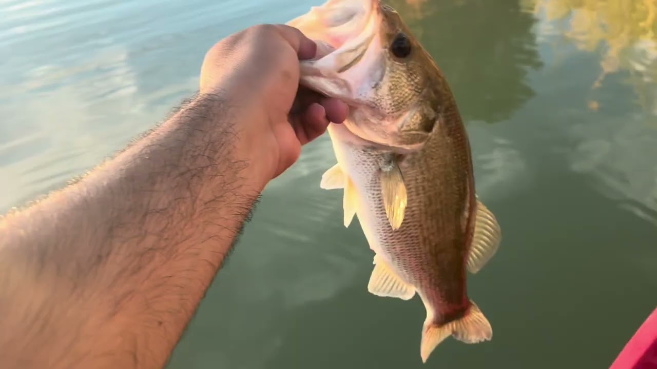 Bass fishing Sunbeam lake (imperial valley)