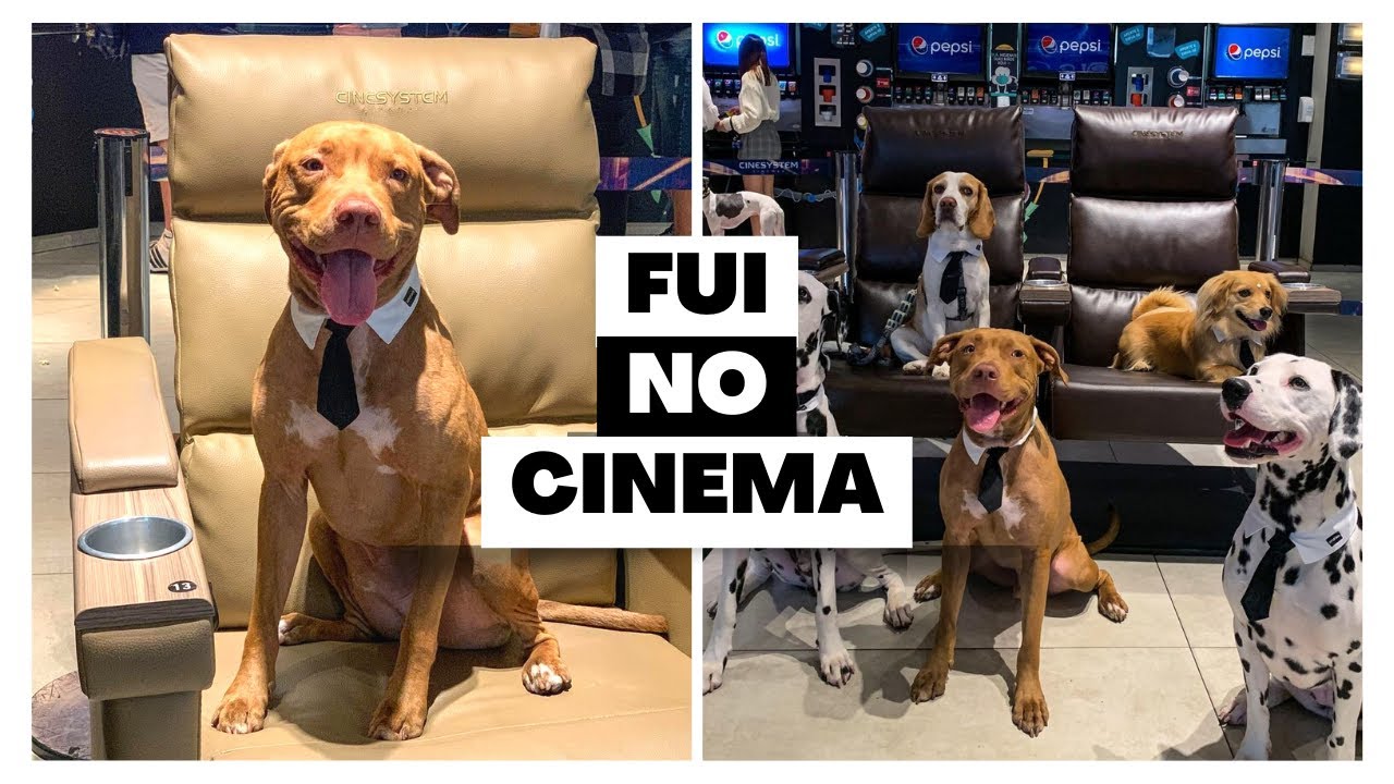 VLOG PET FRIENDLY #6 | Cinema pet 🎥 | O Poderoso Chefinho 2 | Morumbi Town Shopping