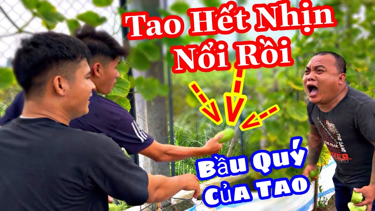TXVL - Tao Không Nhịn Nữa Tụi Mày Phải Trả Giá Đắt