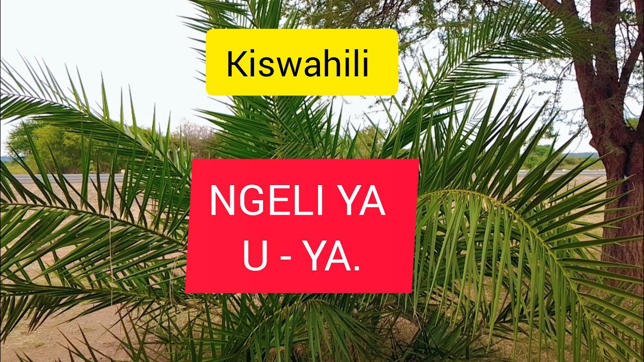 KISWAHILI // NGELI YA U - YA.