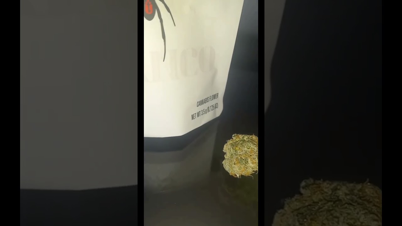 Blanco tapped in at 36.46%Thc #CannabisCommunity #Weedfeed