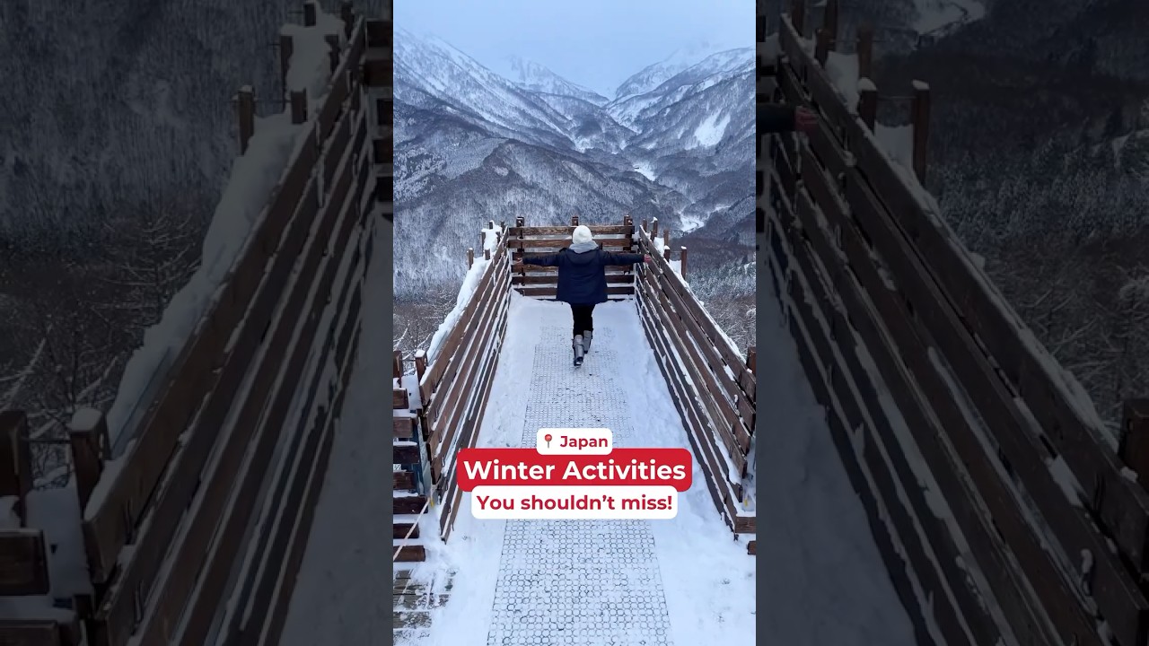 Activities not to miss this winter in Japan!