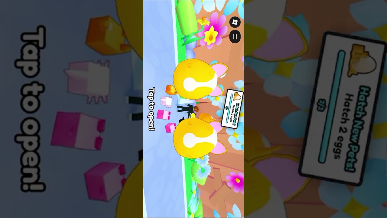 Pet simulator leveling up