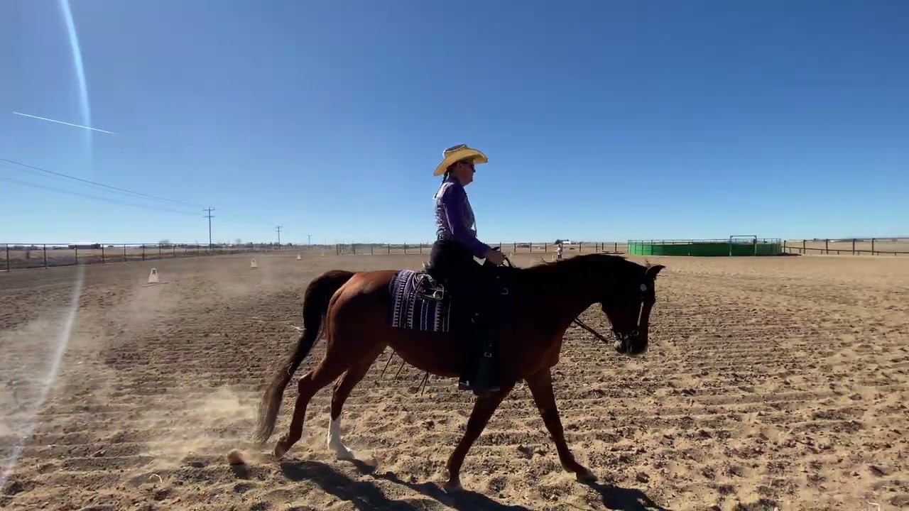Queenagers limited show entry #6508 level1 test1