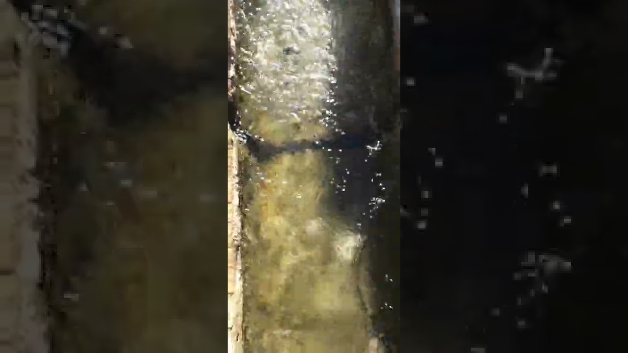 ruissellement d'eau