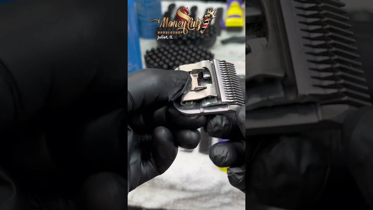 Stop Using Dirty Clippers! Clean & Disinfect Them The Right Way