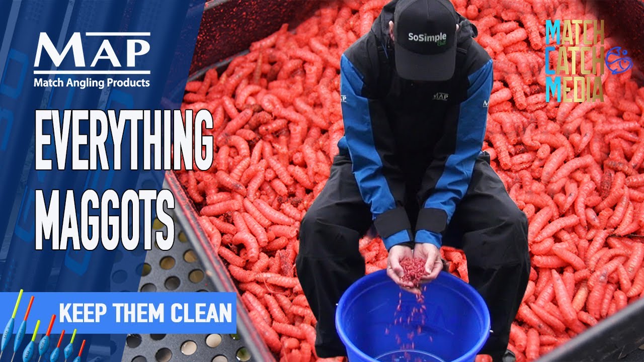 Опарышам – как их содержать в чистоте | Match Fishing | Match Catch Media