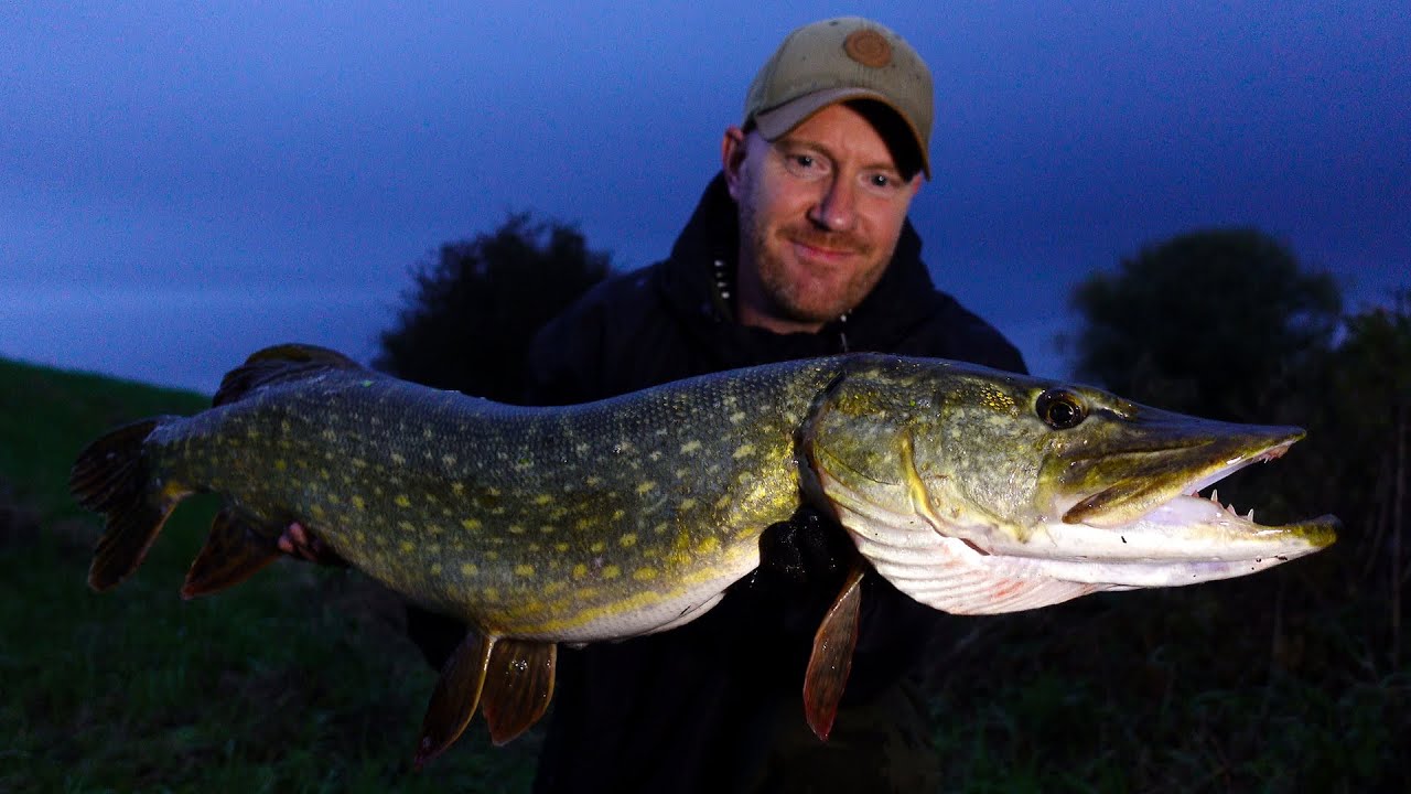 Pike Fishing at Night