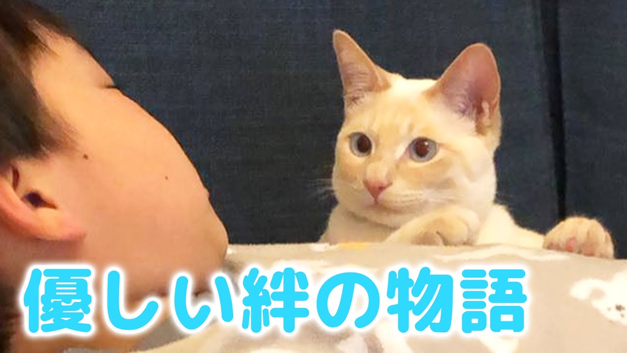 保護されたら家族ができた！かけがえのない絆ができるまで…♡【PECO】