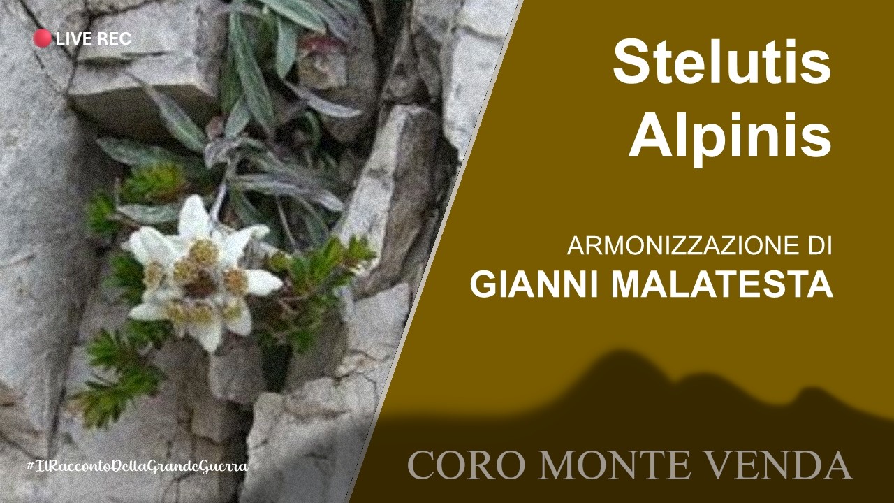 Stelutis Alpinis
