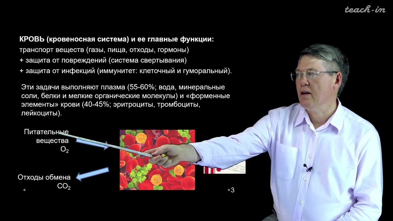 Дубынин В. А. - 100 часов школьной биологии - 1.4. Кровь: плазма, эритроциты, тромбоциты