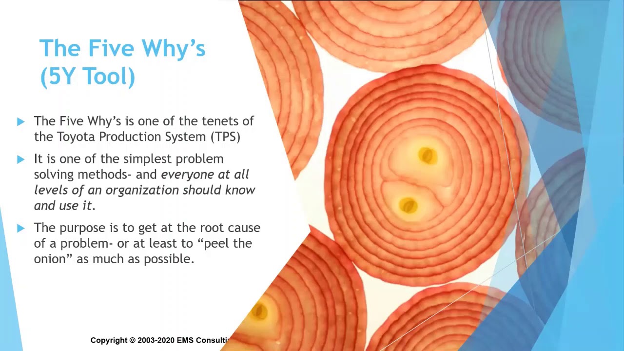 How to Use a Fishbone Diagram and How to Use the Five Why's