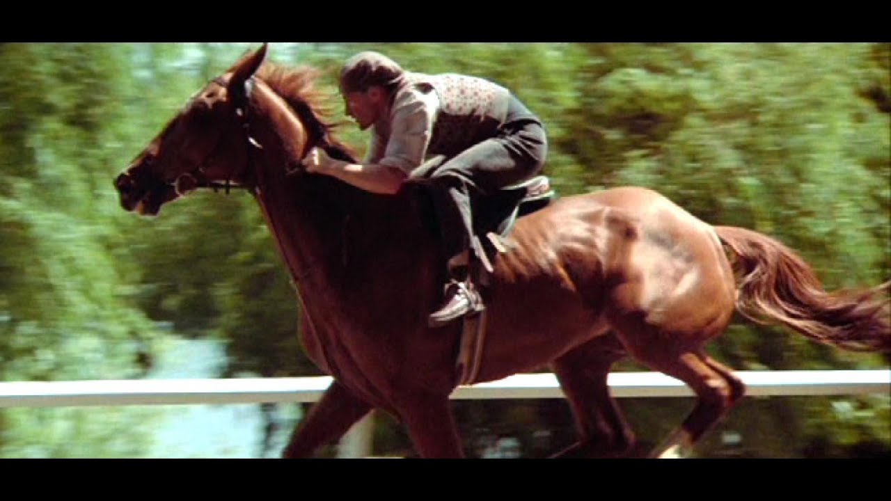 PHARLAP ( HD Ελληνικοί υπότιτλοι) - ΤΟ ΑΛΟΓΟ ΘΡΥΛΟΣ