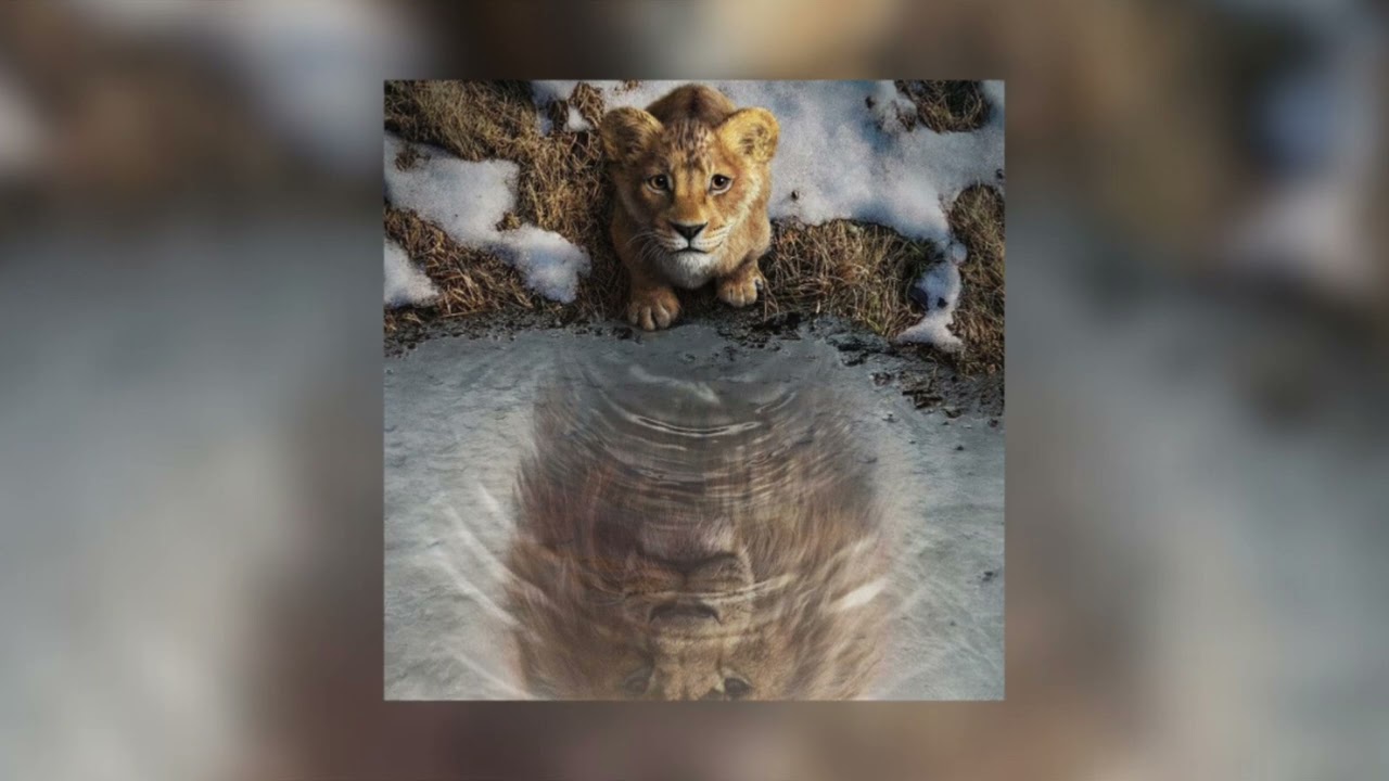 ☆ Sped up ☆ I Always Wanted A Brother - The Lion King Mufasa ☆ Nightcore ☆