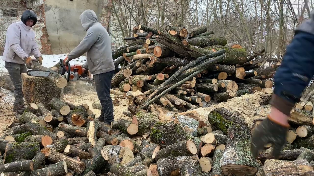 Brutal Timber Cutting Marathon
