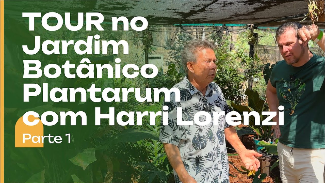 TOUR no Jardim Botânico PLANTARUM com Harri Lorenzi. Parte 1.