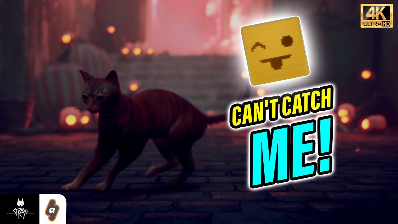 QUICK GUIDE: How to unlock the Can't Catch me Trophy in Stray  | Stray Trophy Guide