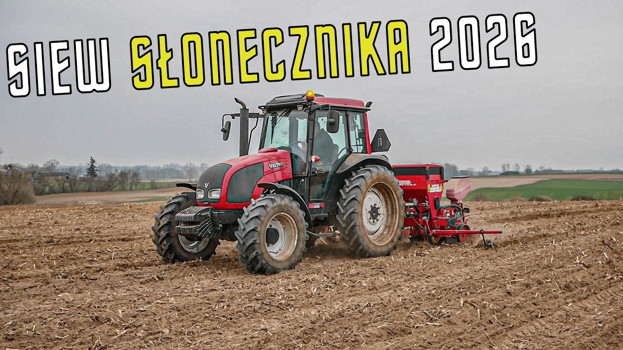 ✔SIEW SŁONECZNIKA 2026✔GR PODUFALSKI✔VALTRA W AKCJI!✔VALTRA72A & GASPARDO 4MT