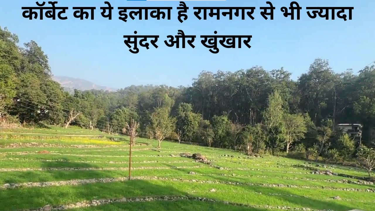 कॉर्बेट का ये इलाका है रामनगर से भी ज्यादा सुंदर और खुंखार @roadrunnerstar