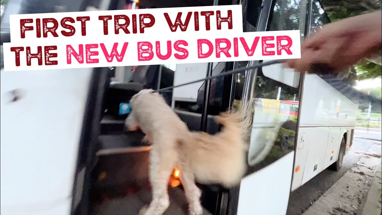 First Trip with the New Bus Driver for Monday’s Pack