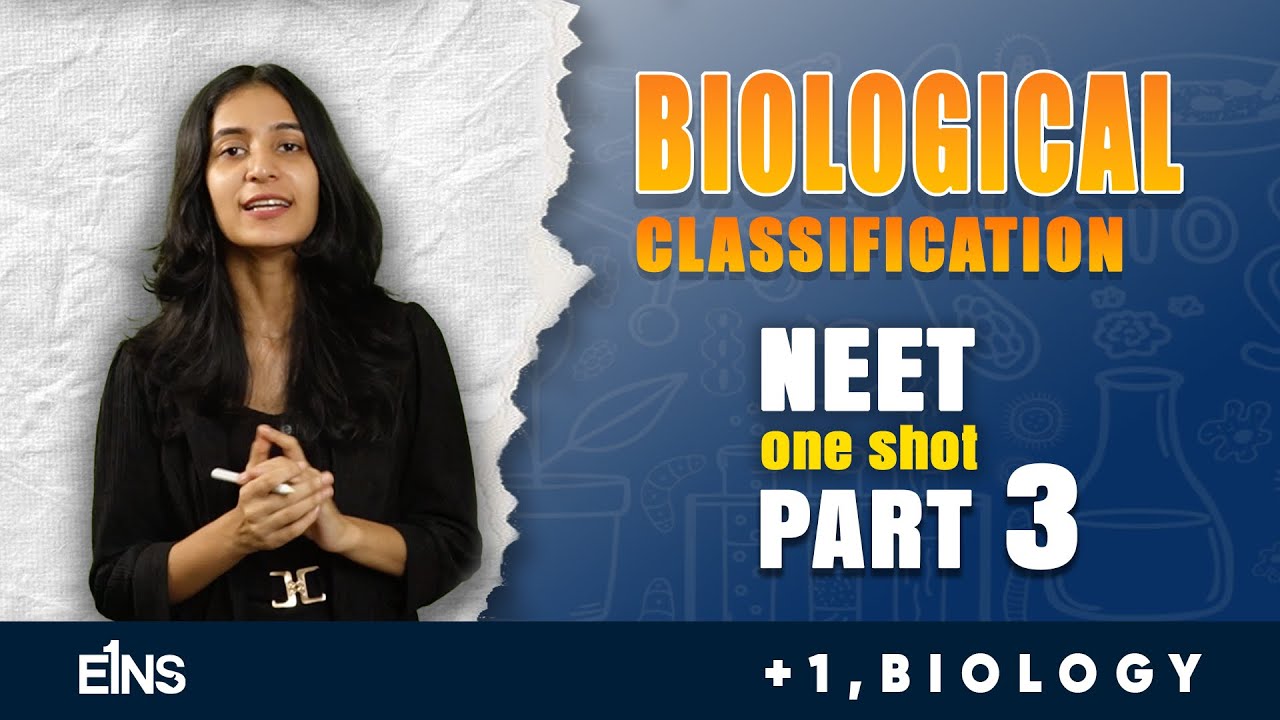 Eins learning is live