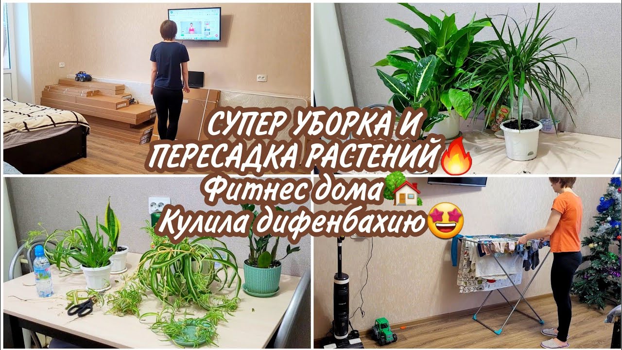 СУПЕР УБОРКА И ПЕРЕСАДКА РАСТЕНИЙ🔥 Фитнес дома🏡Кулила диффенбахию🤩