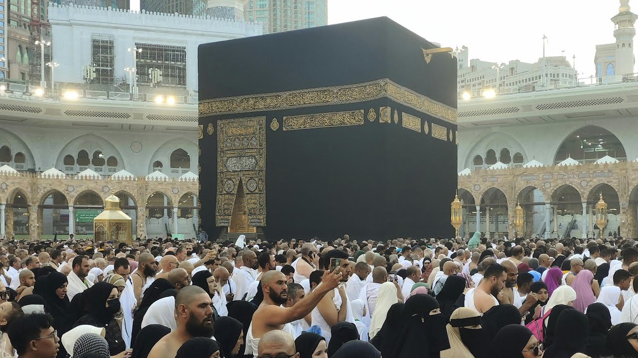 Top 20 Important Questions and Answers live | General Knowledge Quiz 2025