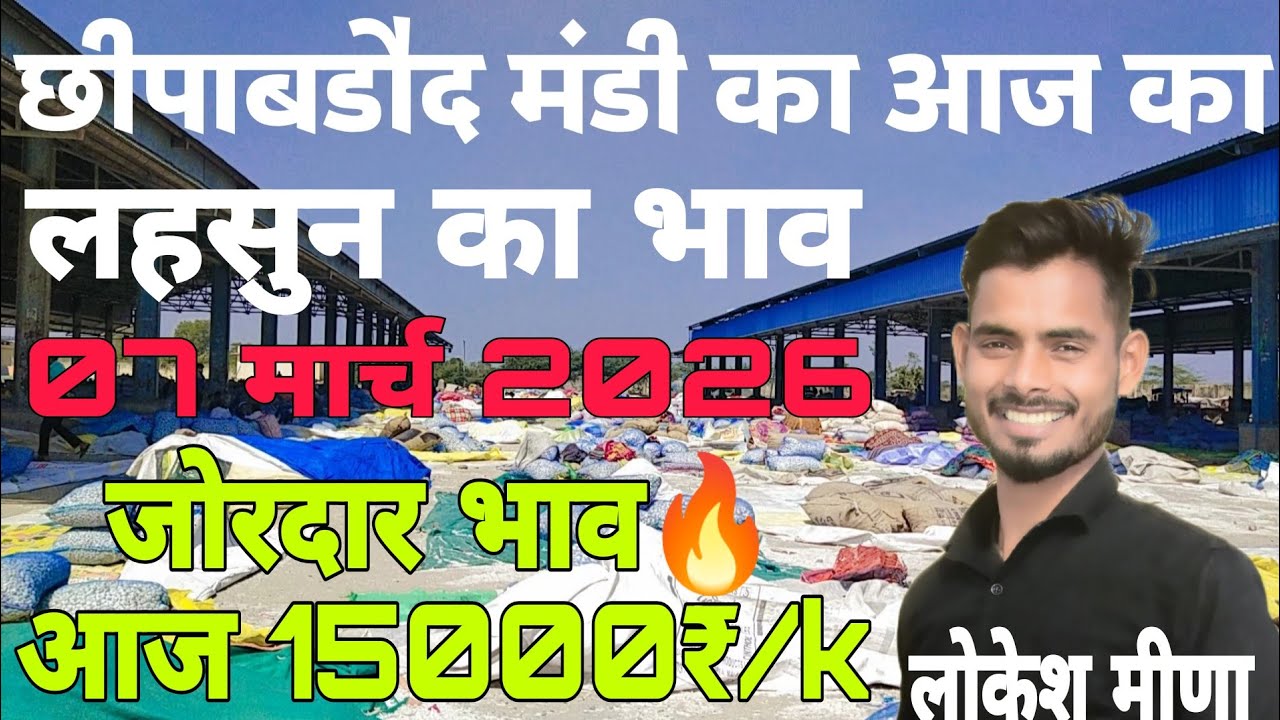 जोरदार धुंआधार लेवाली🔥छीपाबडौद मंडी भाव | Aaj Ka Lahsun Ka Bhav | Lahsun Ka Bhav Aaj Ka Bhav  