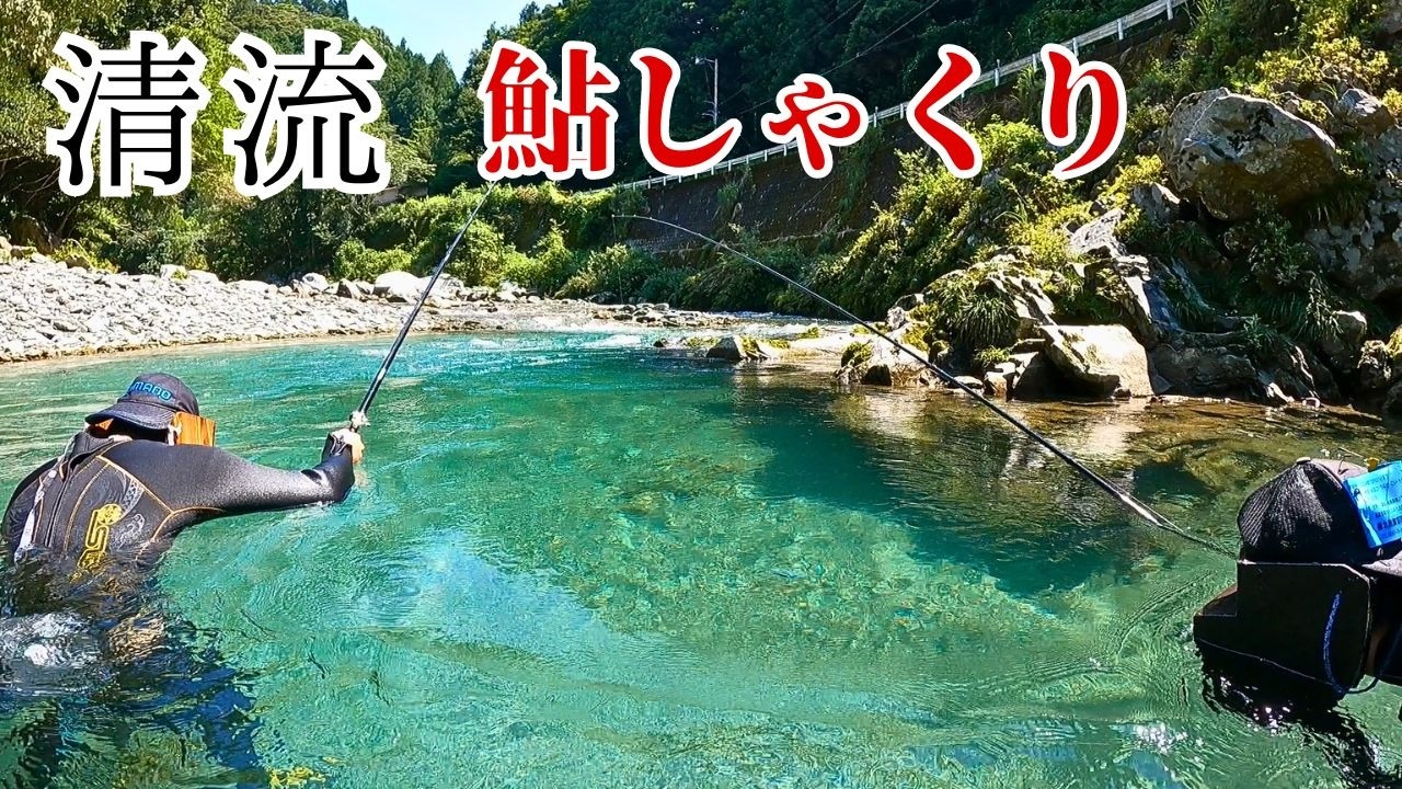 透明度の高い清流　水中で丸見えの鮎を釣り上げる