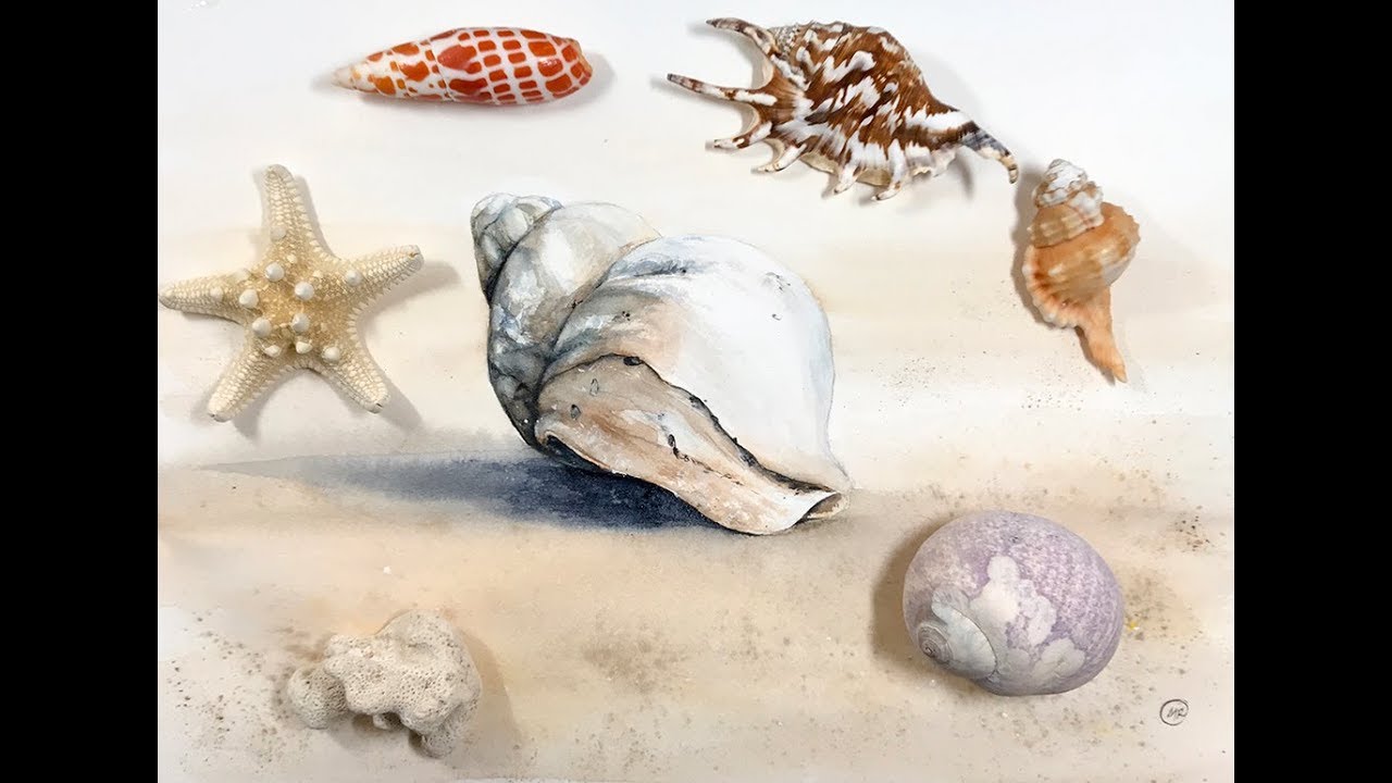 Sea Shell Painting in Watercolor