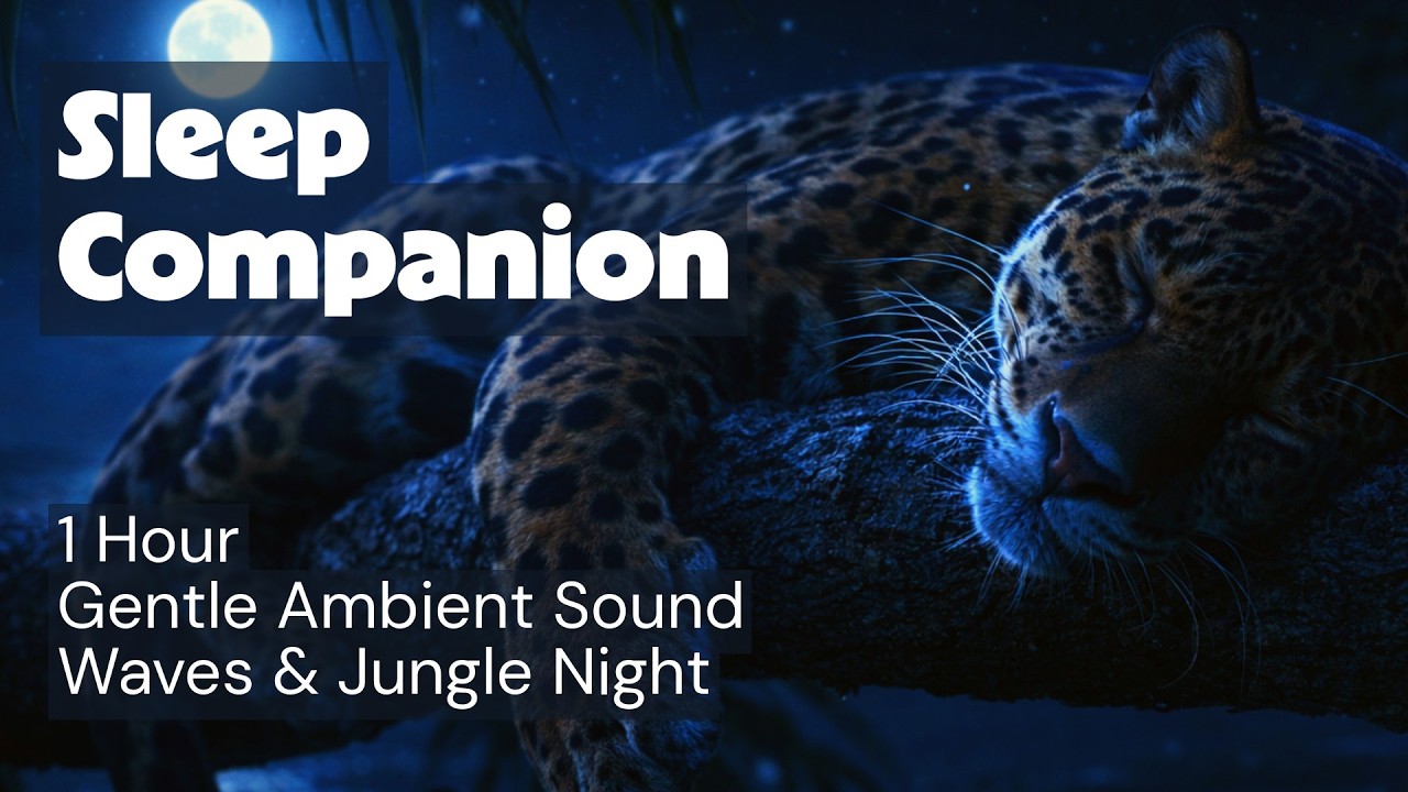 Sleep Companion 🌊🐆💤🌴 Coastal Jaguar | 1 Hour Deep Rest