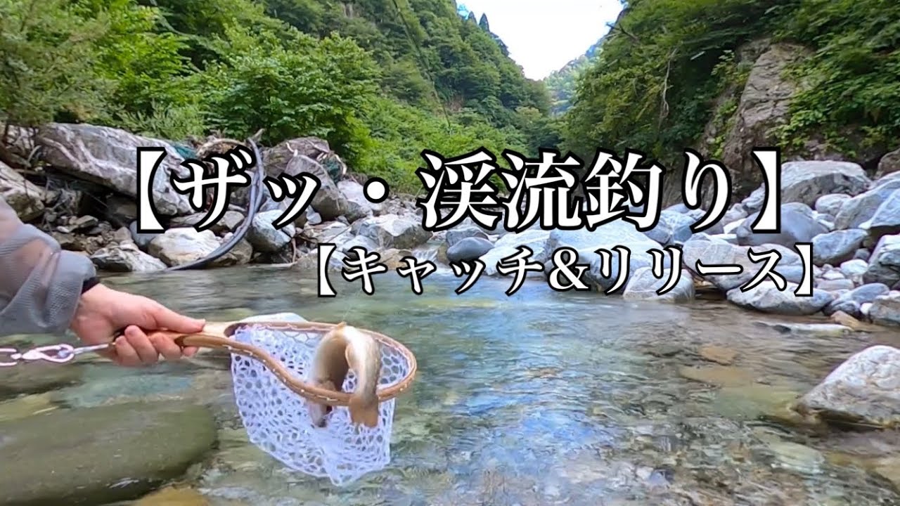 石川県白山ろく【渓流釣り】【キャッチ&リリース】の場所‼️(遊漁券いります)