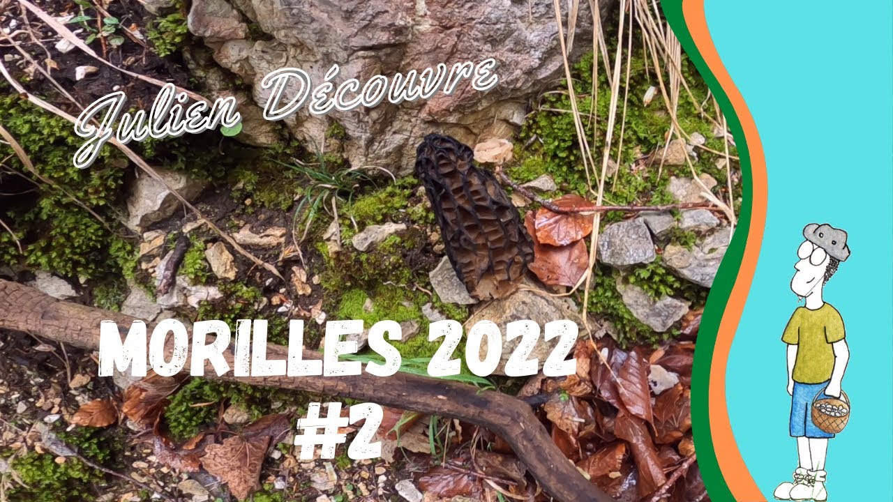 6 Mai 2022 - Morilles dans le Vercors