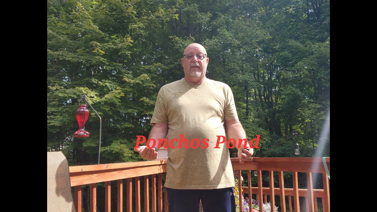 Poncho's Pond