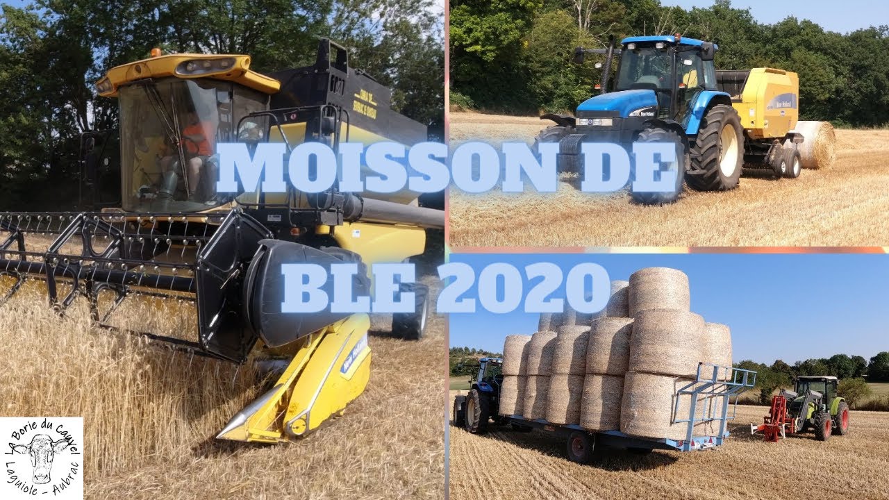 MOISSON 2020 DE BLE | NEW HOLLAND & CLAAS