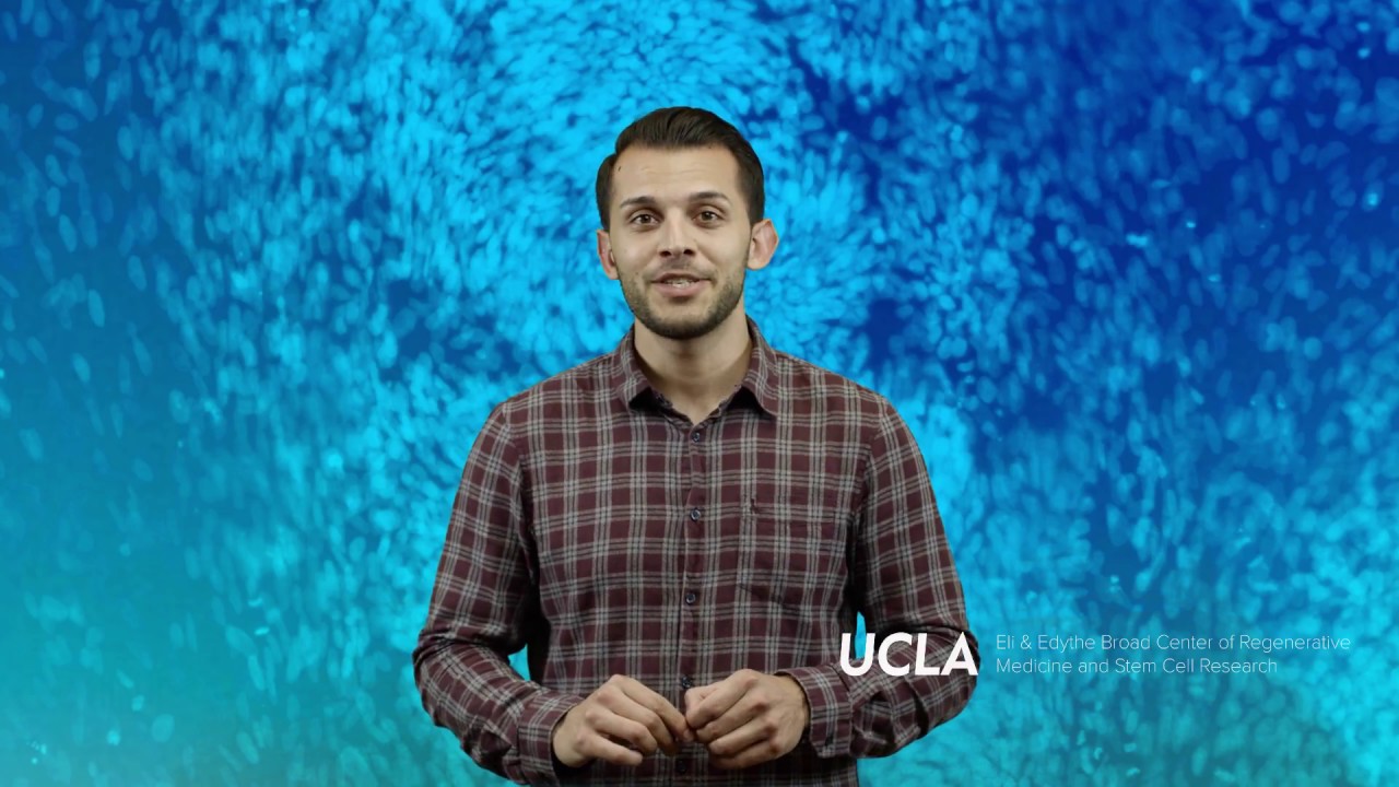Understanding and optimizing stem cell reprogramming | Shan Sabri