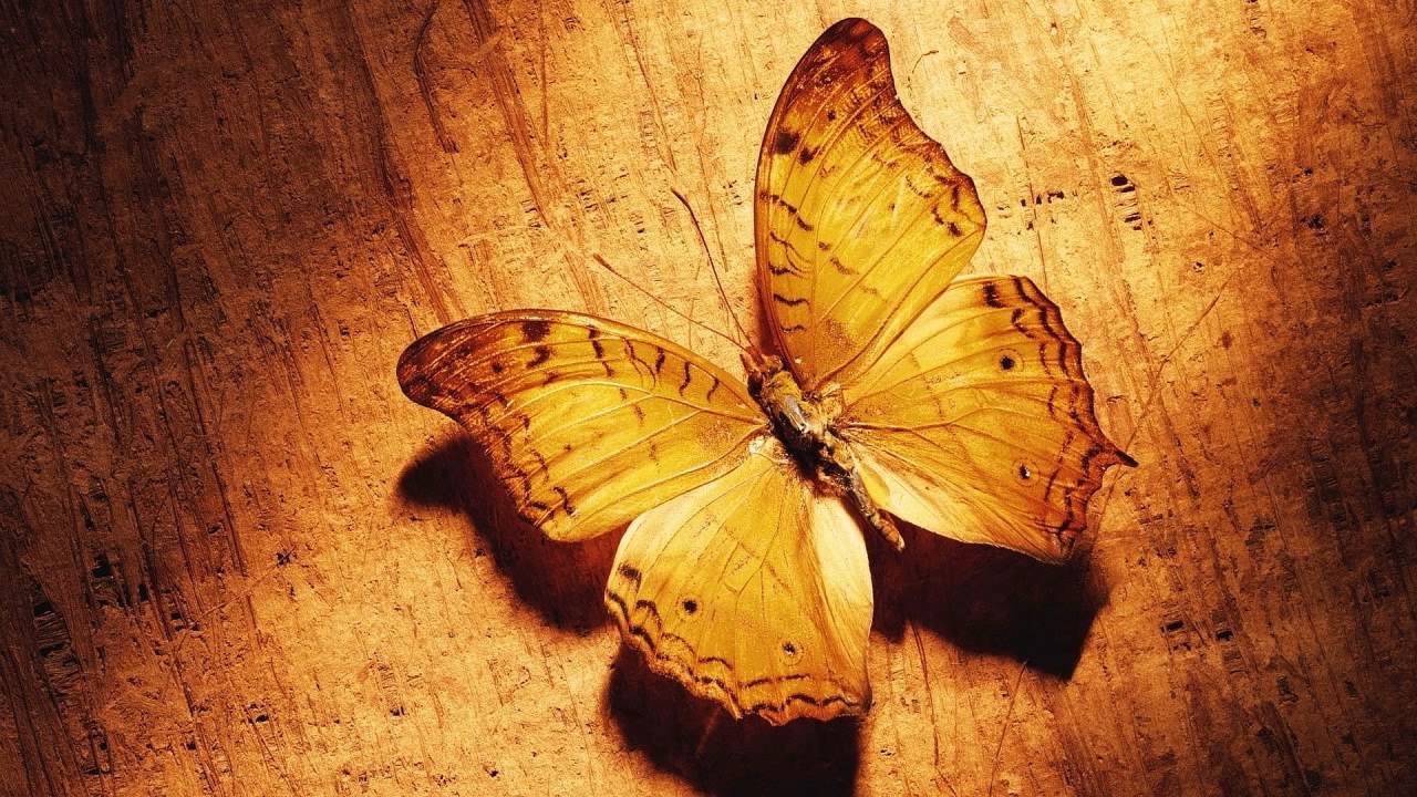 Dream Traveler - Time (Original Mix) [1998]