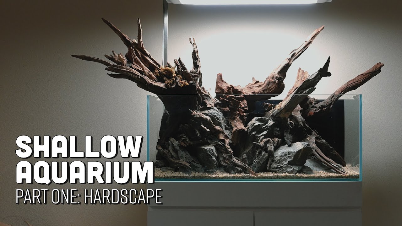 Shallow Aquarium Planted Paludarium Mini Series Part 1 - Gluing Hardscape