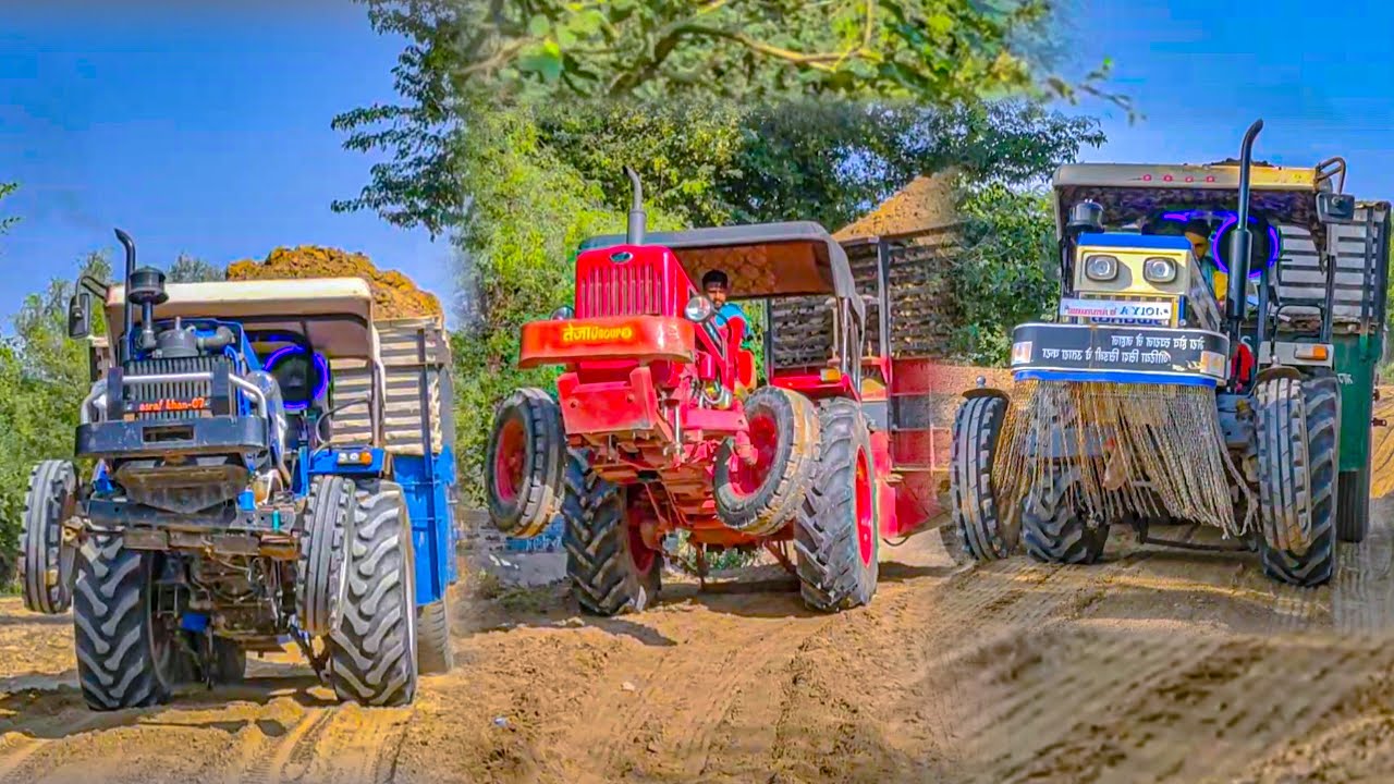 इन तीन शेरों में कौन हैं कमजोर। Mahindra 585 Vs Sonalika DI 55 Vs Swaraj 744 XT Full Loaded Trolla