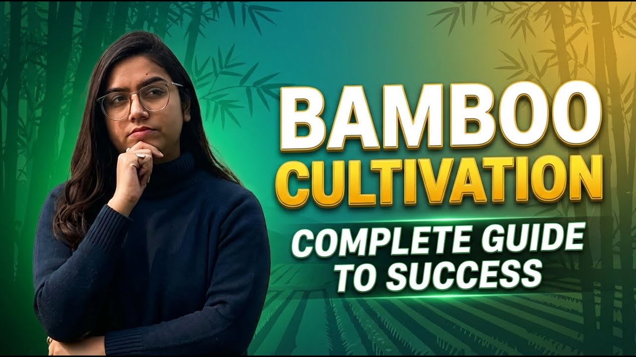 Green Gold Cultivation | Concept to Selection – Day 4 | (Clear in 15  Min)