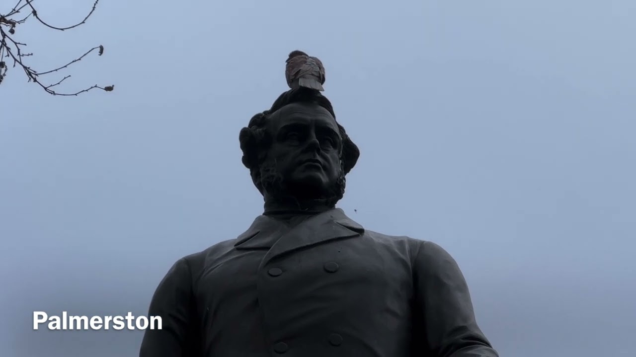 Parliament Square with statues of famous people & a pigeon - London
