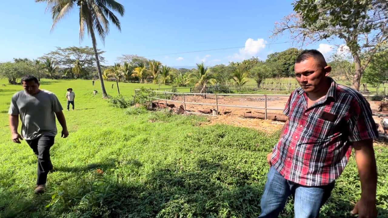 Terreno de 20 manzana regadío de venta en las tablas sonsonate precio $12000 por manzana
