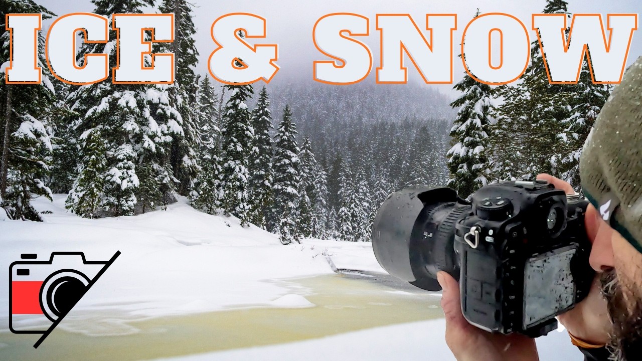 This Winter Scene Doesn’t Feel Real!