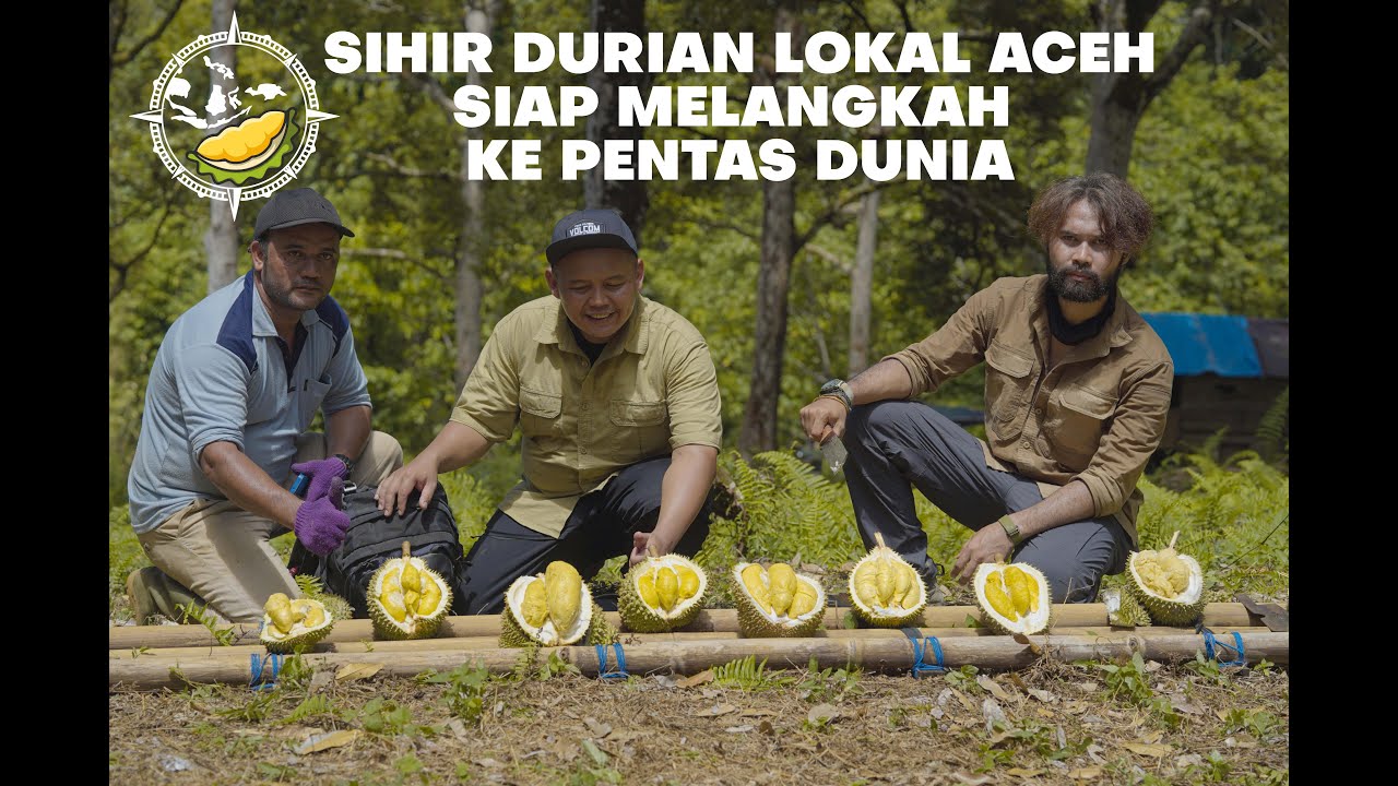 EDN - Aceh Jaya dan Aceh Besar Menjadi Harta Karun Bagi Para Pecinta Durian @DURIAN TRAVELER