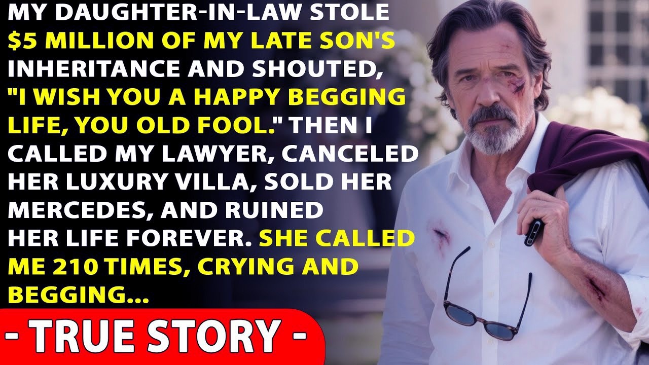 My Daughter-in-law Stole $5 Million Of My Late Son's Inheritance, So I Ruined Her Life Forever...