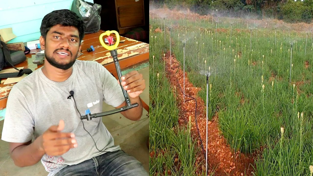 Butterfly Sprinkler - உங்கள் வீட்டுத்தோட்டத்திற்கு நீங்களே எளிதாக செய்யலாம்